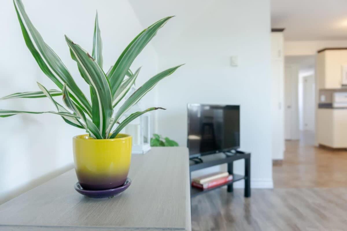 Amazing Location In Saint John 2 Bedroom Modern Parking New Eksteriør bilde