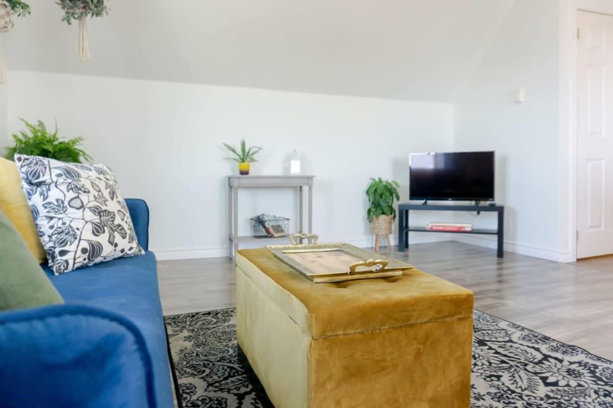 Amazing Location In Saint John 2 Bedroom Modern Parking New Eksteriør bilde