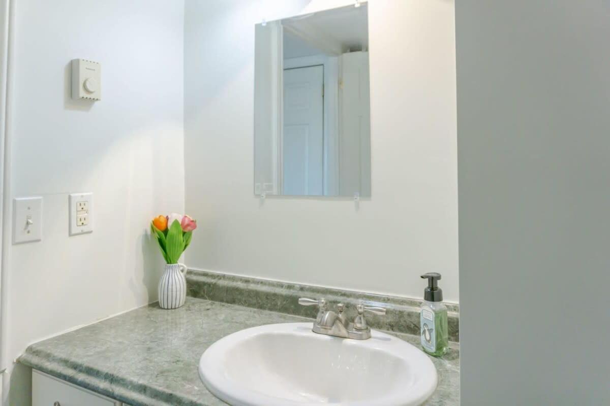 Amazing Location In Saint John 2 Bedroom Modern Parking New Eksteriør bilde